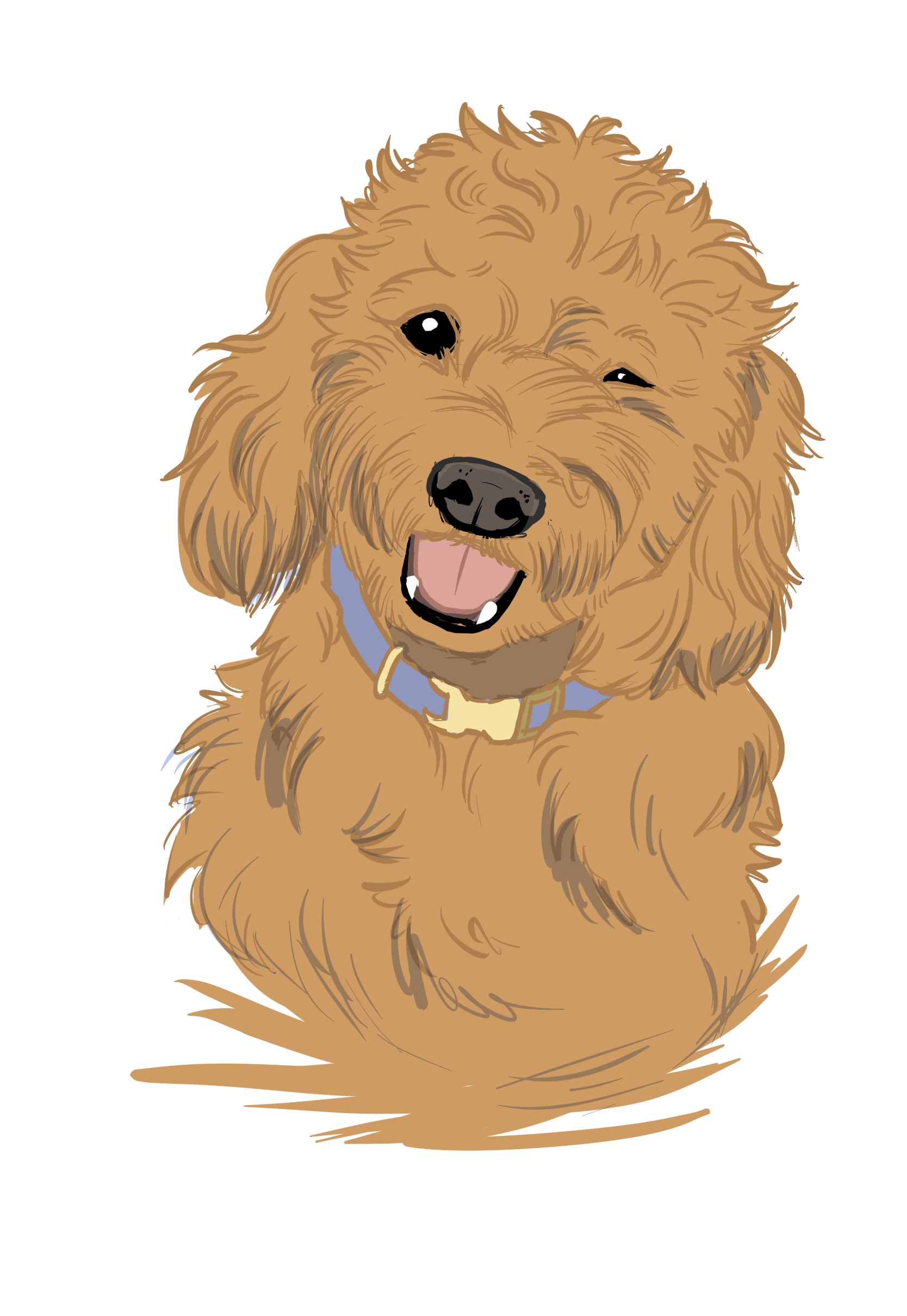 Puppy